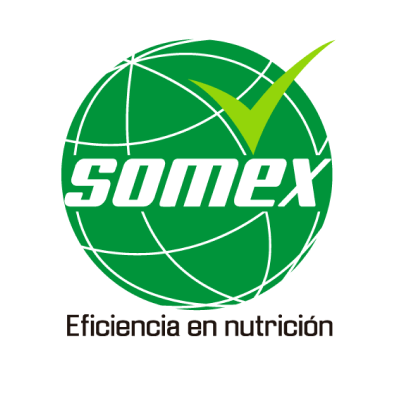 img Somex - Testimonios