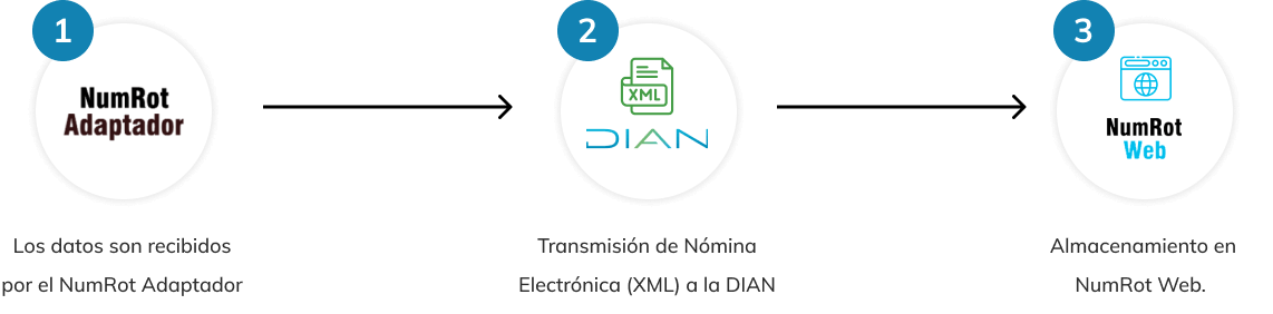 Imagen pasos en la expedición